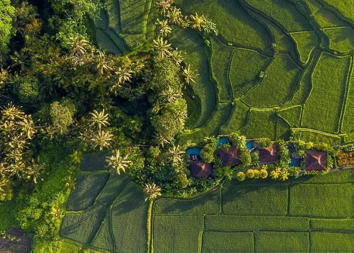 Madani Antique * Ubud (Bali)